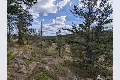 37 N Oneida Ct, Red Feather Lakes, CO 80545 - Photo 35