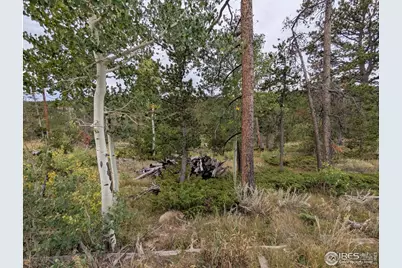 37 N Oneida Ct, Red Feather Lakes, CO 80545 - Photo 19