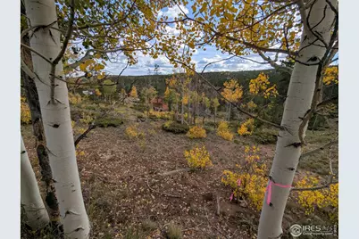 37 N Oneida Ct, Red Feather Lakes, CO 80545 - Photo 41