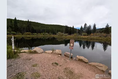 37 N Oneida Ct, Red Feather Lakes, CO 80545 - Photo 23