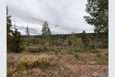 37 N Oneida Ct, Red Feather Lakes, CO 80545 - Photo 17