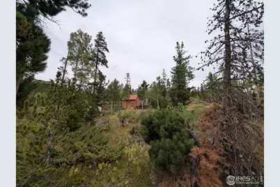 37 N Oneida Ct, Red Feather Lakes, CO 80545 - Photo 25