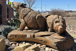 7219 Dolores Ave, Frederick, CO 80530 - Photo 25