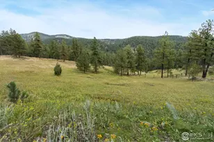 16235 W County Rd 18E, Loveland, CO 80537 - Photo 5