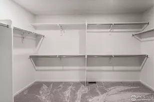 6100 Gault Rd, Timnath, CO 80547 - Photo 25