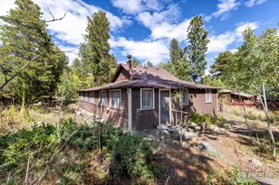 550 W Breed St, Nederland, CO 80466 - Photo 3