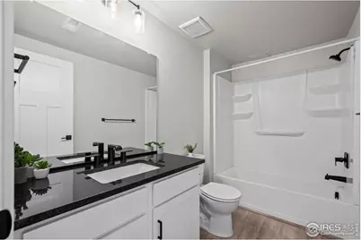 597 Red Jewel Dr, Windsor, CO 80550 - Photo 19