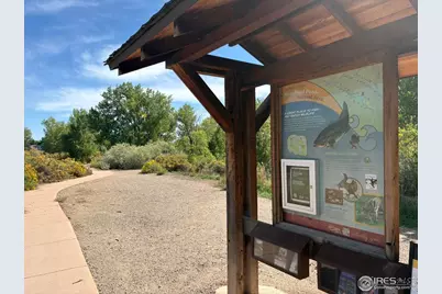 2706 Alan St, Fort Collins, CO 80524 - Photo 21