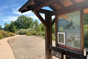 2706 Alan St, Fort Collins, CO 80524 - Photo 21