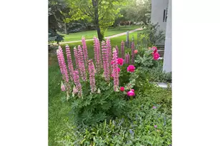 4260 W 14th St Dr, Greeley, CO 80634 - Photo 39