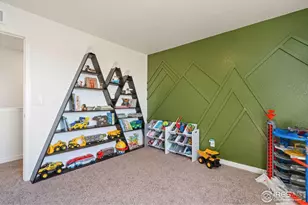 1233 Lily Mountain Rd, Severance, CO 80550 - Photo 27