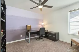 1233 Lily Mountain Rd, Severance, CO 80550 - Photo 29