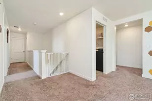 1233 Lily Mountain Rd, Severance, CO 80550 - Photo 17