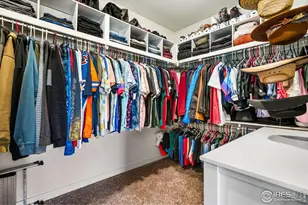 1233 Lily Mountain Rd, Severance, CO 80550 - Photo 25