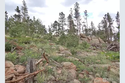 1601 Osage Trl, Red Feather Lakes, CO 80545 - Photo 13