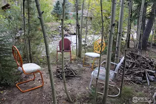 223 Riverside Dr, Lyons, CO 80540 - Photo 21