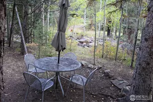 223 Riverside Dr, Lyons, CO 80540 - Photo 9