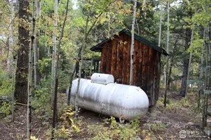 223 Riverside Dr, Lyons, CO 80540 - Photo 31