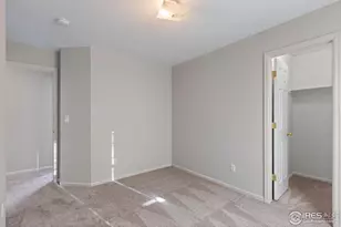 734 Blue Azurite Ave, Loveland, CO 80537 - Photo 19