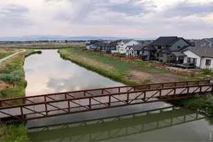 271 Cornelia Dr, Windsor, CO 80550 - Photo 45