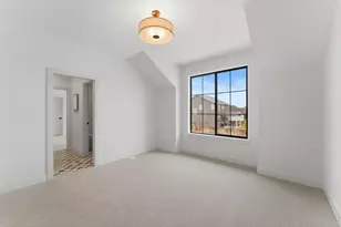 271 Cornelia Dr, Windsor, CO 80550 - Photo 39
