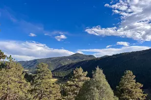 575 Bulwark Ridge Dr, Glen Haven, CO 80532 - Photo 23