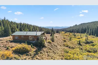 162 S Silk Sisters Pl, Fairplay, CO 80440 - Photo 1