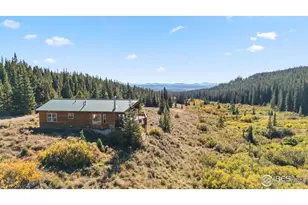 162 S Silk Sisters Pl, Fairplay, CO 80440 - Photo 1