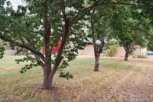 805 Gallup Rd, Fort Collins, CO 80521 - Photo 13