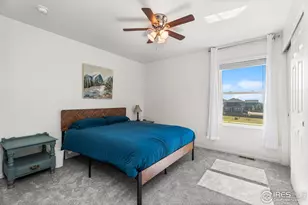 503 Buckrake St, Severance, CO 80550 - Photo 31