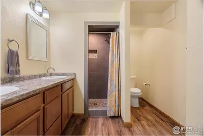 6635 Cranesbill St, Wellington, CO 80549 - Photo 23