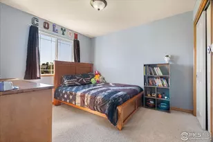 6635 Cranesbill St, Wellington, CO 80549 - Photo 17