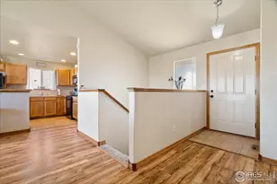 6635 Cranesbill St, Wellington, CO 80549 - Photo 9