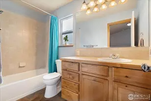 6635 Cranesbill St, Wellington, CO 80549 - Photo 15