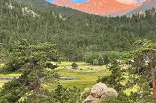 3495 St Francis Way, Estes Park, CO 80517 - Photo 45