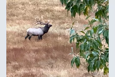 3495 Saint Francis Way, Estes Park, CO 80517 - Photo 49
