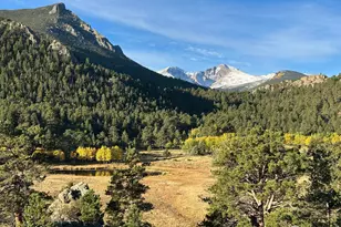 3495 St Francis Way, Estes Park, CO 80517 - Photo 9