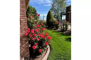 2238 Breckenridge Dr, Berthoud, CO 80513 - Photo 1