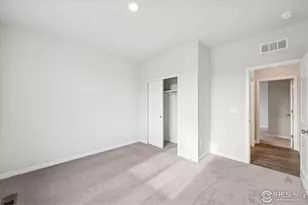 858 Mesic Ln, Windsor, CO 80550 - Photo 3