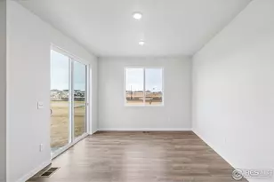 858 Mesic Ln, Windsor, CO 80550 - Photo 19