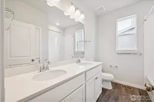 858 Mesic Ln, Windsor, CO 80550 - Photo 5