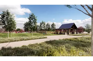 5613 Zadie Ave, Timnath, CO 80547 - Photo 21