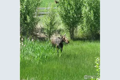 5190 Brandywine Dr, Loveland, CO 80538 - Photo 37