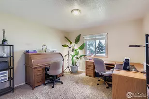 121 Chestnut St, Windsor, CO 80550 - Photo 19