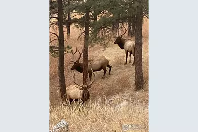 321 Greenwood Dr, Loveland, CO 80537 - Photo 35