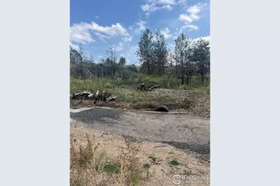 883 Palisade Mountain Dr, Drake, CO 80515 - Photo 11