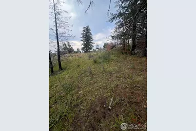 883 Palisade Mountain Dr, Drake, CO 80515 - Photo 17