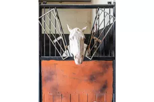 13400 Harvest Rd, Commerce City, CO 80022 - Photo 19