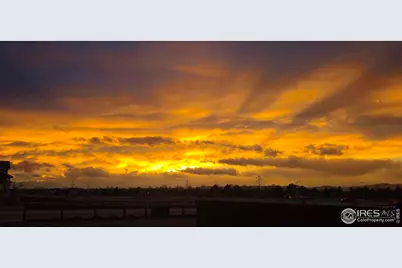 1813 Garden Flourish Ct, Windsor, CO 80550 - Photo 39