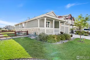 1813 Garden Flourish Ct, Windsor, CO 80550 - Photo 41